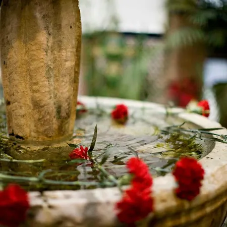 Szálloda Beneste Flamenca 3*